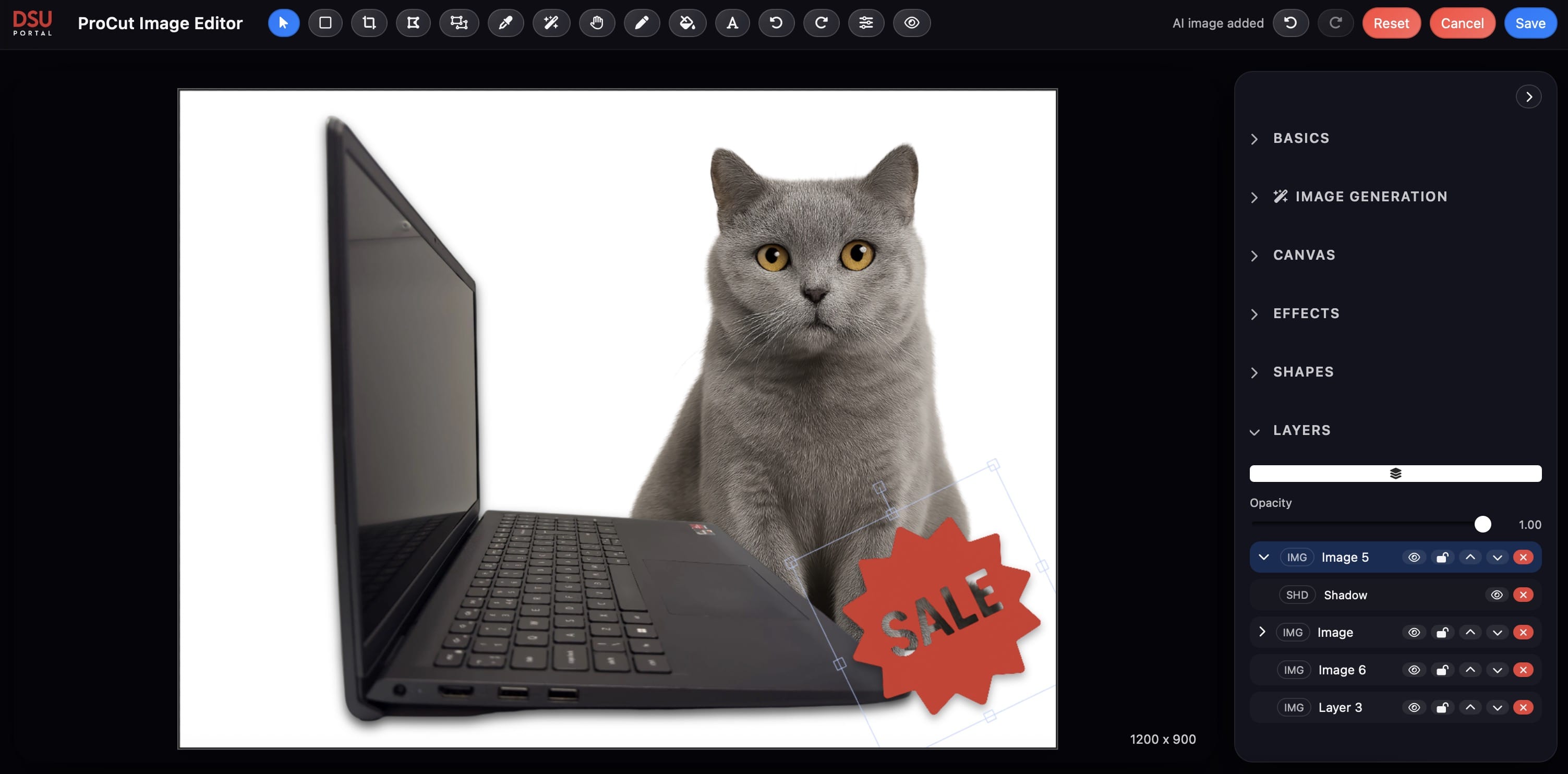 DSU ProCut editor preview